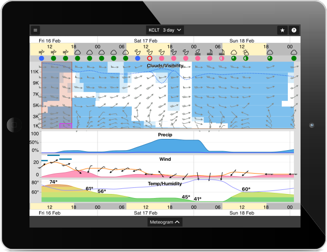 Old fashioned iPad with Meteogram